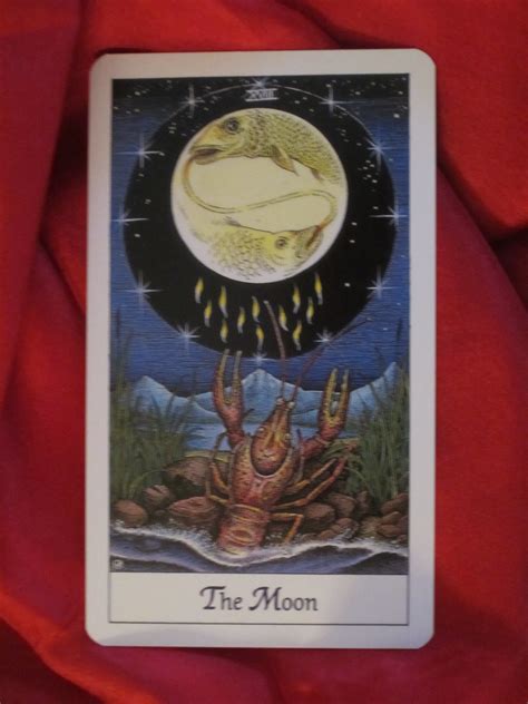 Enhancing Your Intuition with Moon Magic Tarot
